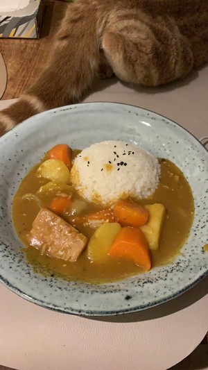 The practice measure of luncheon meat curry 7