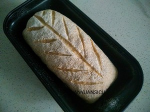 The practice measure that 〔 of whole wheat bread does not have oily 〕 without candy 8