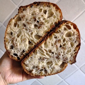 The practice measure that honey walnut Europe includes 1