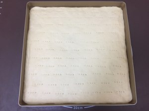 Biscuit of dried meat floss of sweet green of sea liver mosses coils (28 inches square dish) practice measure 5
