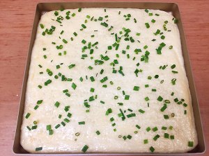 海肝苔のコイル（28インチ四方皿）の甘い緑の乾燥肉フロスのビスケット メジャー9 