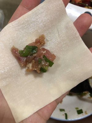 Fresh pork small wonton (tone stuffing + wonton includes a method) practice measure 3