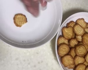 The practice measure of biscuit of with filling puppy 5