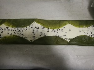The practice measure that towel of beans of the honey that wipe tea coils 12