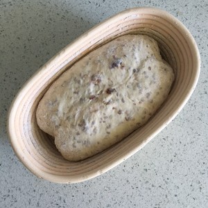 The practice measure that tendril of French flax seed exceeds berry Europe to wrap 5