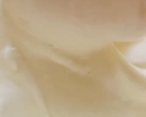 The practice measure of small cake of yoghurt paper cup 12