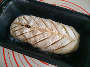 The practice measure that 〔 of whole wheat bread does not have oily 〕 without candy 13