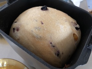 クリーンエレメントブルーベリーのフルーツの風味の盛り合わせのビーズは甘いビスケット（ 松の下のパンのマシン）練習対策6 