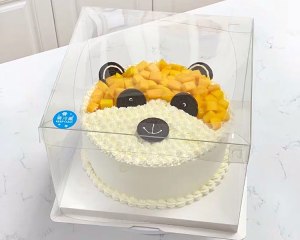 [コレクトの風のケーキ｜ Insが追求]対策24