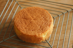 Classical sponge cake / " sponge reachs his to derive " bake video cake piece the practice measure of 3 24