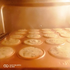 The practice measure of small biscuit of black sesame seed 4