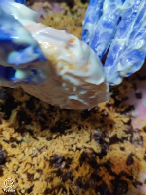 The practice measure of small shellfish of dried meat floss 12