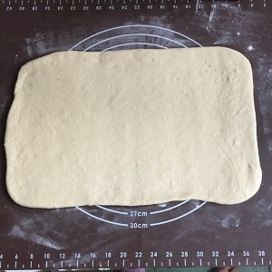 The practice measure of biscuit of platoon of shredded coconut stuffing 2