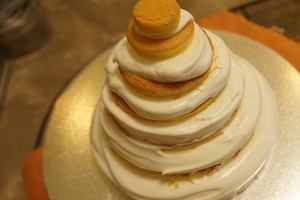 The practice measure of cake of christmas tree modelling 19