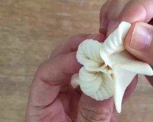 Water moves dough---Chinese cabbage dumpling (add video) practice measure 4