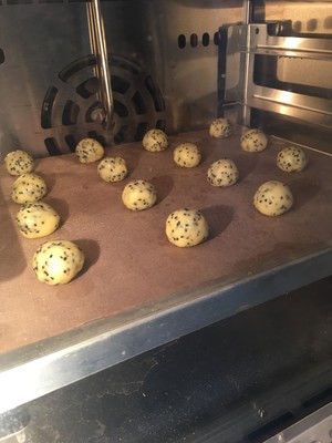 Was him bag of potato of hemp of · of biscuit of potato of hemp of dinosaurian egg · done 1000? the practice measure of personal prescription 12