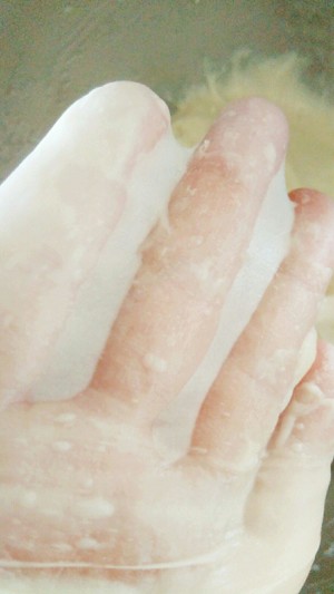 The practice measure that exceeds biscuit of delicious dried meat floss 15