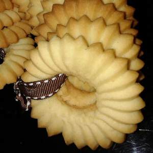 Lin Jiahong of ~ of sweet crisp Qu Ji bakes the practice measure of small shop 2