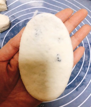 Need not the scone of sesame seed brown sugar of leaven dough (oven edition) practice measure 4