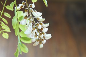 パゴダの花が水に沈んだ子（最初の蒸発後に予約原料が揚げられる）練習対策1  