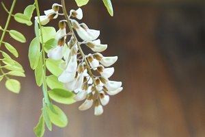 パゴダの花が水に沈んだ子（最初の蒸発後に予約原料が揚げられる）練習対策1  