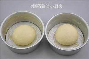 The network is the hottest -- the practice measure of cheese biscuit 12