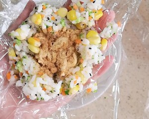 ドライのおいしいご飯のグループの実践対策 肉フロス12 