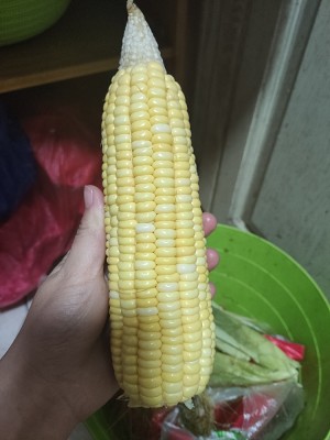 The practice measure of corn cake cake 6