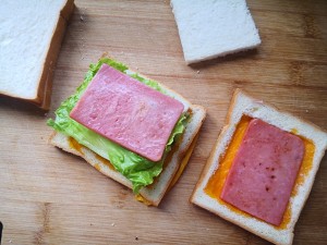 家族の日常生活のサンドイッチの実践尺度5