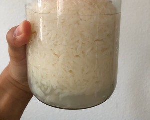 冬11時に飲むべき発酵米の実践測定