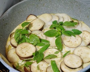 The practice measure of green curry aubergine 5