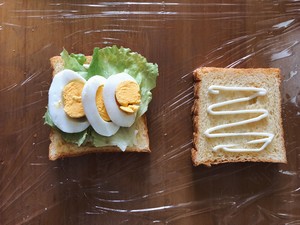 Nutrient catch the whole lot in an action, the practice move that happiness begins one day from sandwich 7