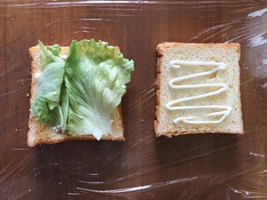 Nutrient catch the whole lot in an action, the practice move that happiness begins one day from sandwich 6