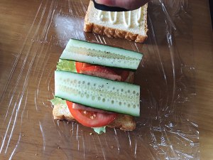 Nutrient catch the whole lot in an action, the practice move that happiness begins one day from sandwich 11