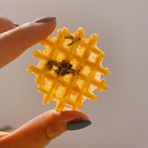 A Ma の is inapproachable the fragile fragile shrimp that bake piece practice measure 15