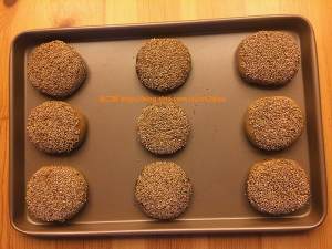 Sesame paste sesame seed cake (achieve solely formerly) practice measure 14