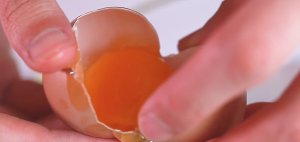 Yun Duo egg, the practice measure that Shi Shangyan is worth highest egg 1