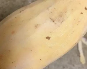 Dawdler breakfast (yam edition) practice measure 1