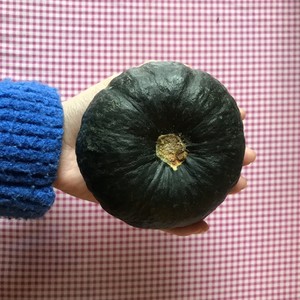 Small pumpkin of assorted shellfish shellfish? 0 failure practice measure 1