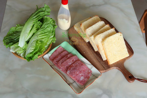 The practice measure of the sandwich that say department 11