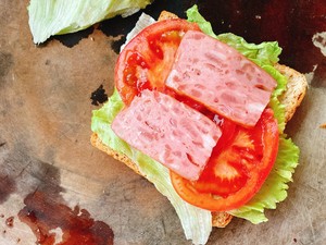 The practice measure of sandwich of ham whole wheat 5
