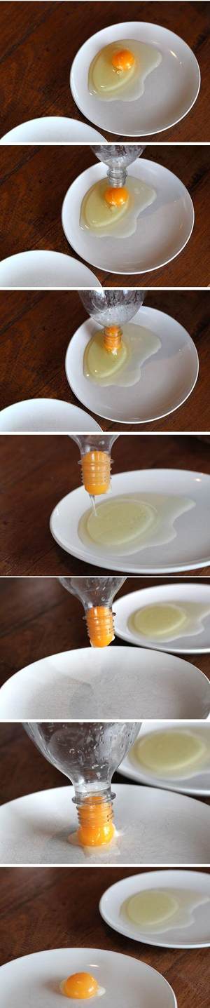 Yun Duo egg, the practice measure that Shi Shangyan is worth highest egg 7