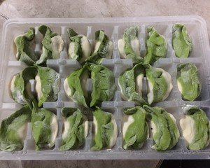 The emerald dumpling with green delicious nutrition (stuffing of spinach dried small shrimps) practice measure 10