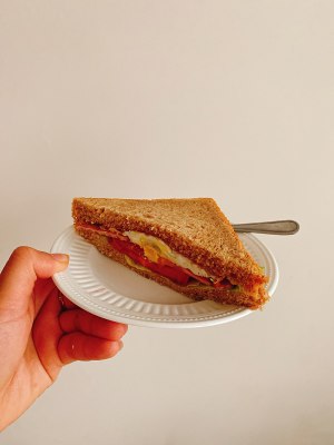 The practice measure of sandwich of ham whole wheat 9