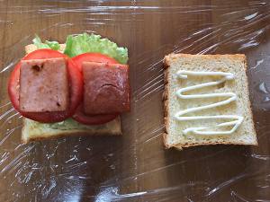 Nutrient catch the whole lot in an action, the practice move that happiness begins one day from sandwich 9