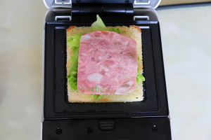 The practice measure of the sandwich that say department 12