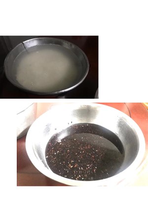 The practice measure of vigour breakfast 1