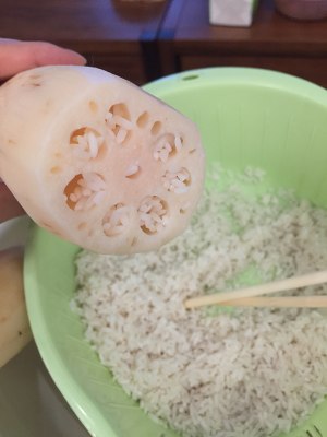 Lotus root of red gooey juice (edition of bag of electric warm up) practice measure 1