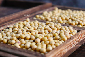 The practice measure that contains jellied bean curd 1