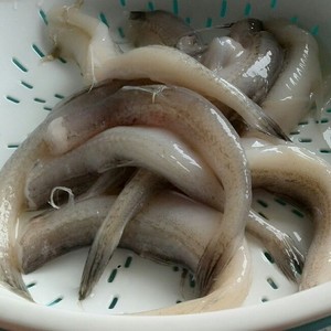 The practice measure of Bombay duck of braise in soy sauce 1